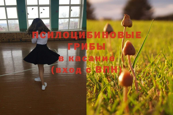 метамфетамин Каменка