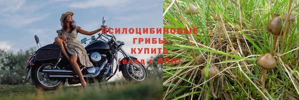 дистиллят марихуана Каменногорск