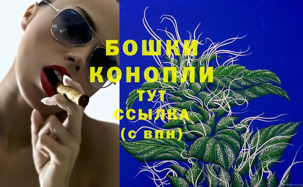 хмурый Карпинск