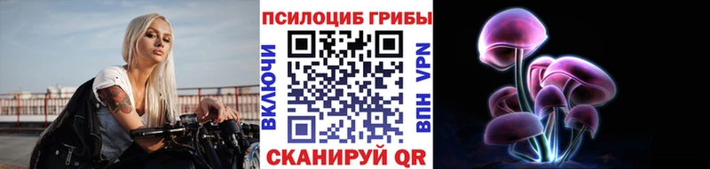 Псилоцибиновые грибы Psilocybine cubensis  Купить закладки  Старая Русса 